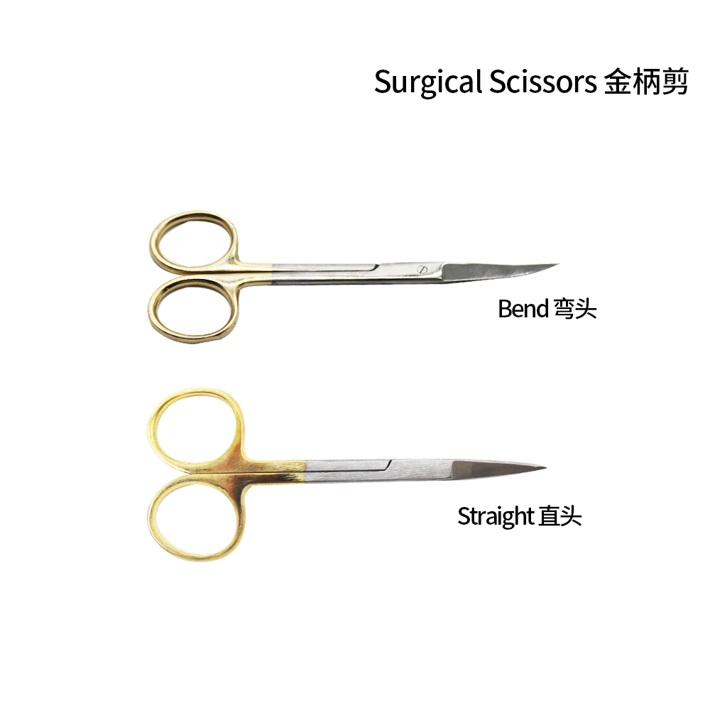 Medical Dental Surgical Scisso - đánh giá và giá Medical Scissors