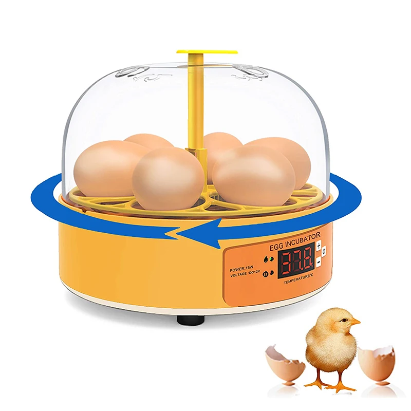 Breeding Incubator Chicken Duc - đánh giá và giá Lab Incubator