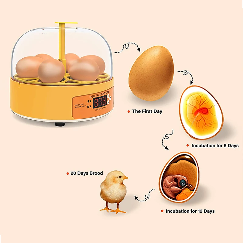 Breeding Incubator Chicken Duc - đánh giá và giá Lab Incubator