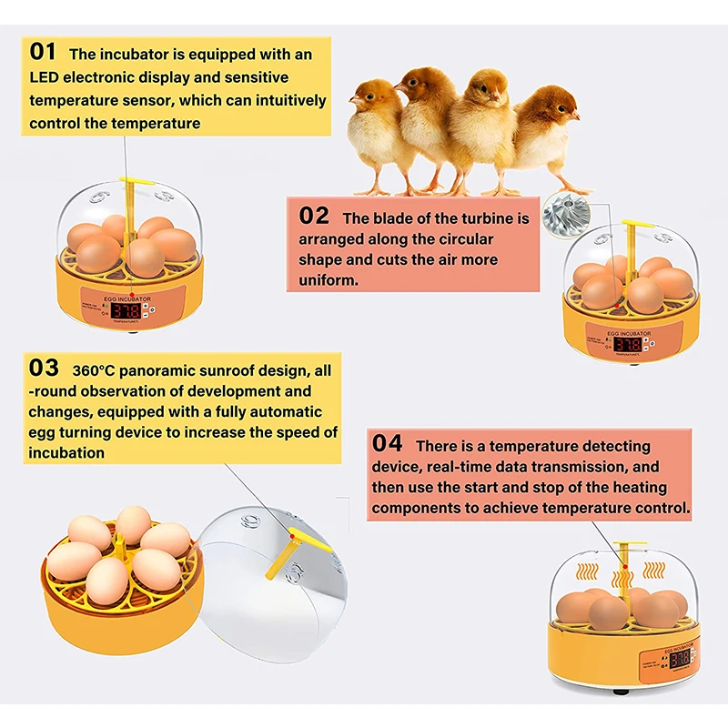 Breeding Incubator Chicken Duc - đánh giá và giá Lab Incubator
