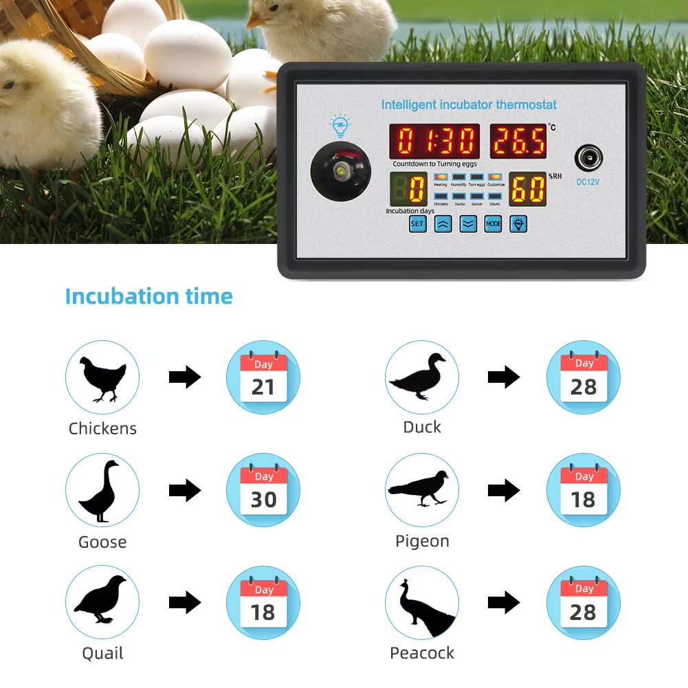 ZFX-W9002 12V/220V Egg Incubat - đánh giá và giá Lab Incubator