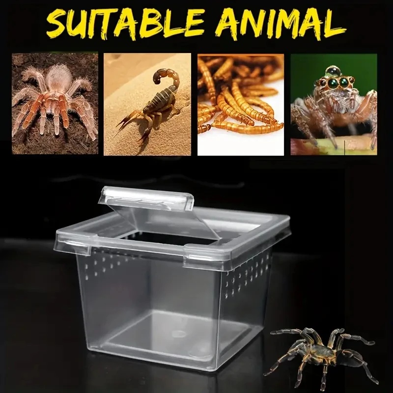 10 Feeding Box Reptile Cages I - đánh giá và giá Lab Incubator