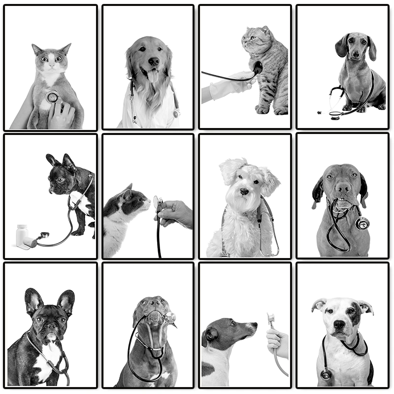 Animal Doctor Vet Med Poster D - đánh giá và giá Stethoscope