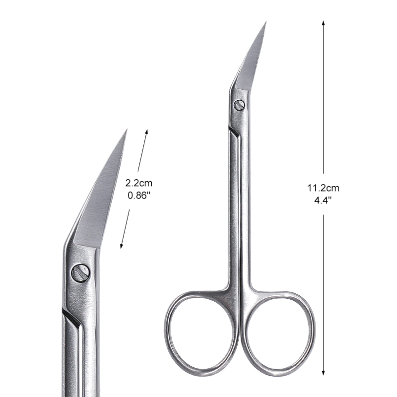 1pc Dental Micro Scissors Curv - đánh giá và giá Medical Scissors