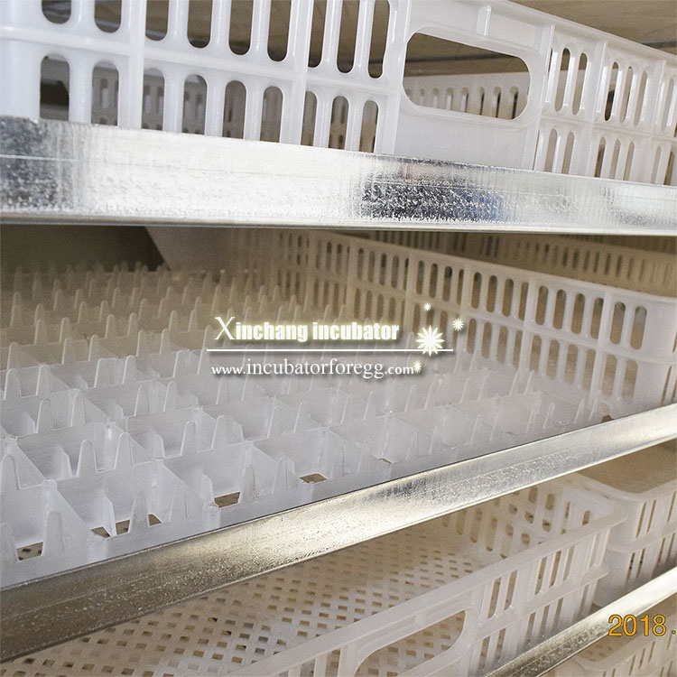 5000 Eggs   Machines for Small - đánh giá và giá Lab Incubator